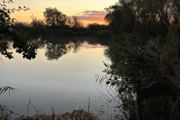 sandwich-lakes-coarse-fishing-image2