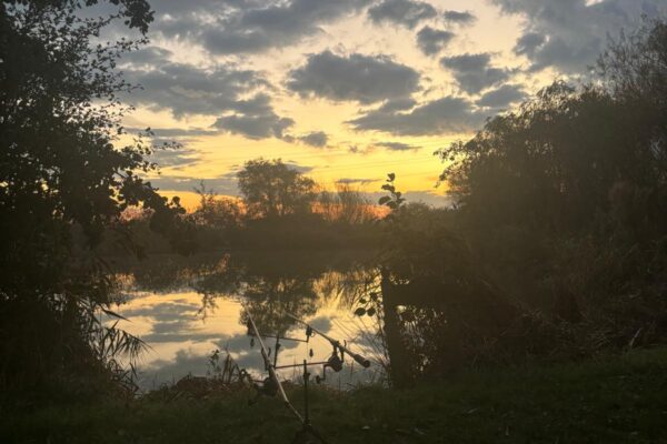 sandwich-lakes-coarse-fishing-image3