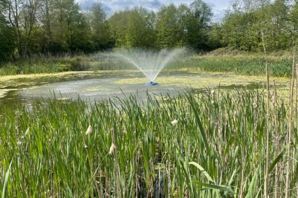 sandwich-lakes-image1