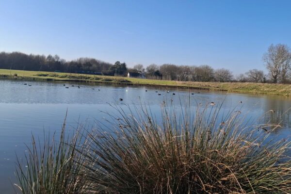 sandwich-lakes-image2