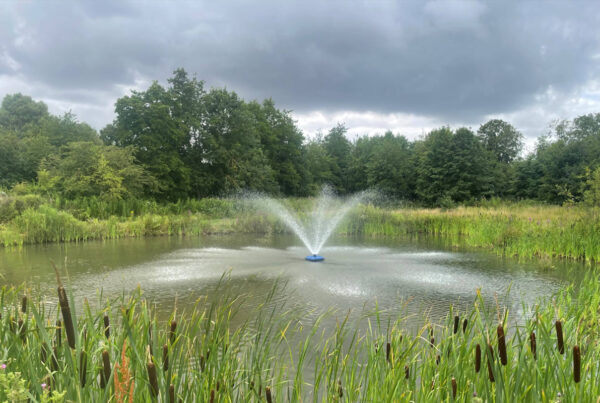 Sandwich Lakes and Scenery