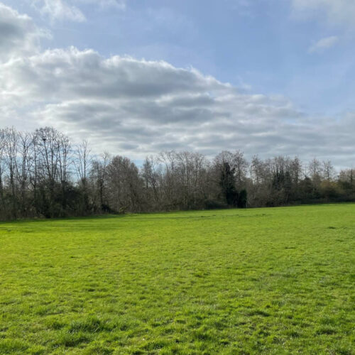 Dog Walk Paddock - Sandwich Lakes