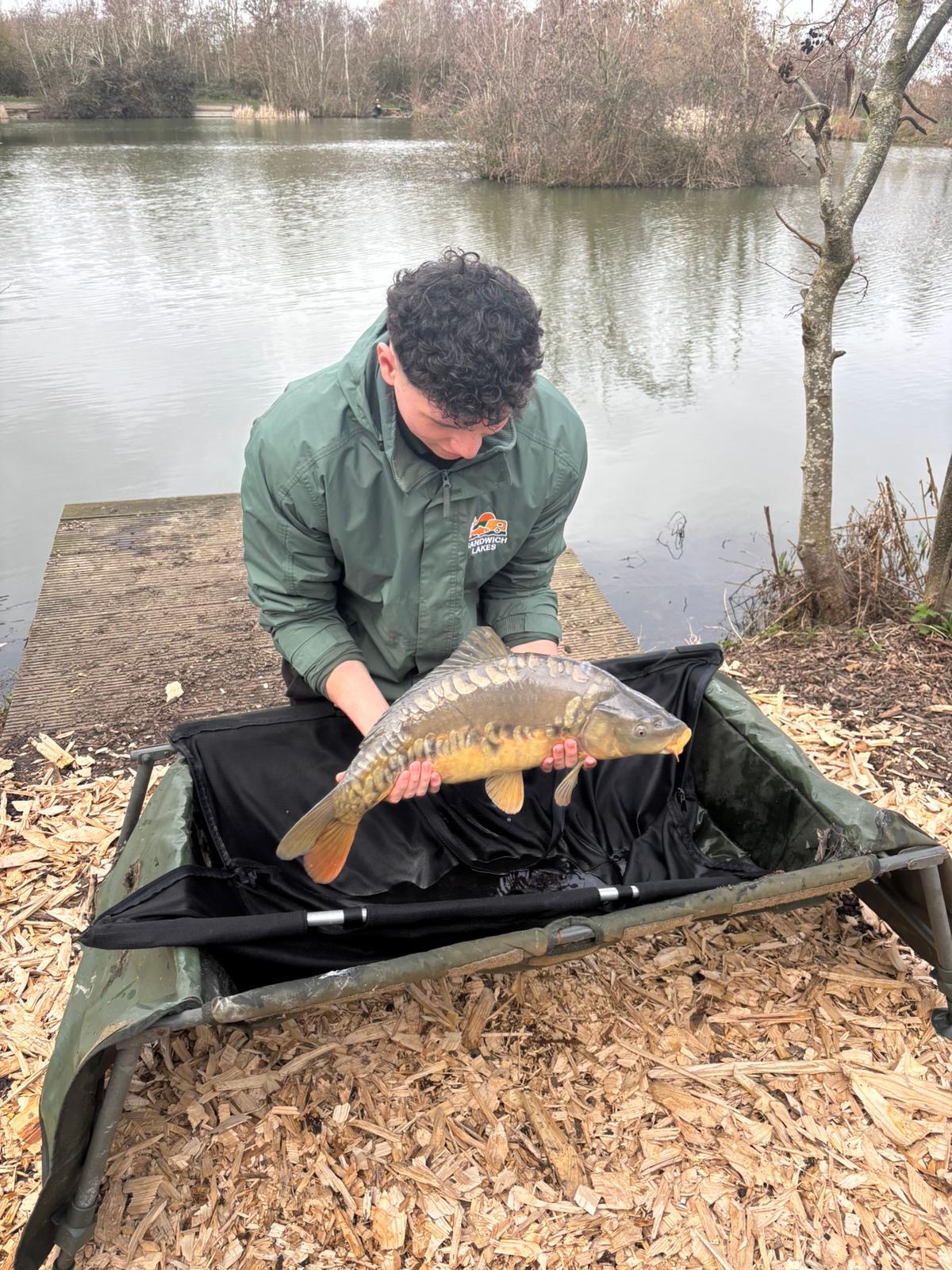 Carp Delivery After a Great Half Term on Our Specimen Lakes