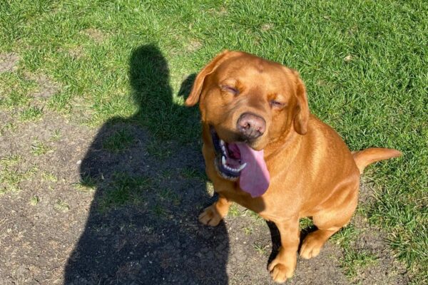 607b1558-80d9-49a9-98dc-36b3b61e6bc7 607b1558-80d9-49a9-98dc-36b3b61e6bc7